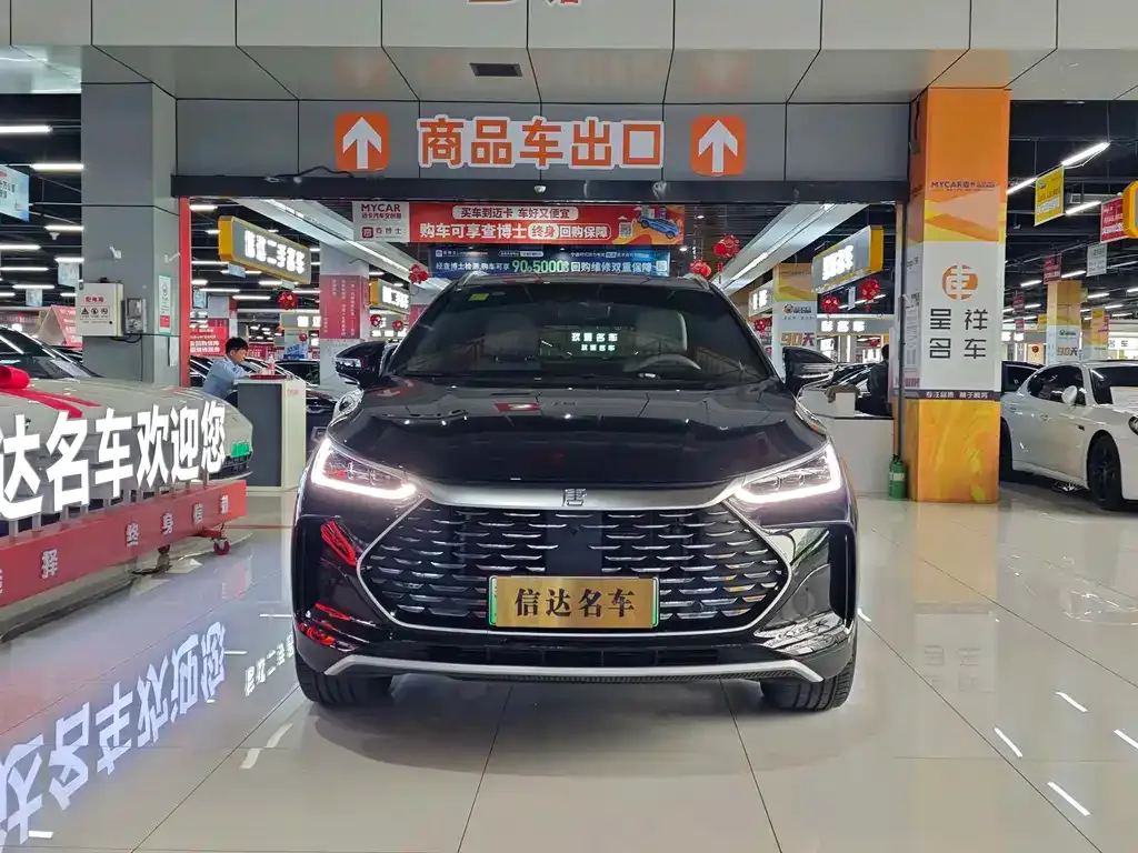 BYD Tang New Energy — фото 10