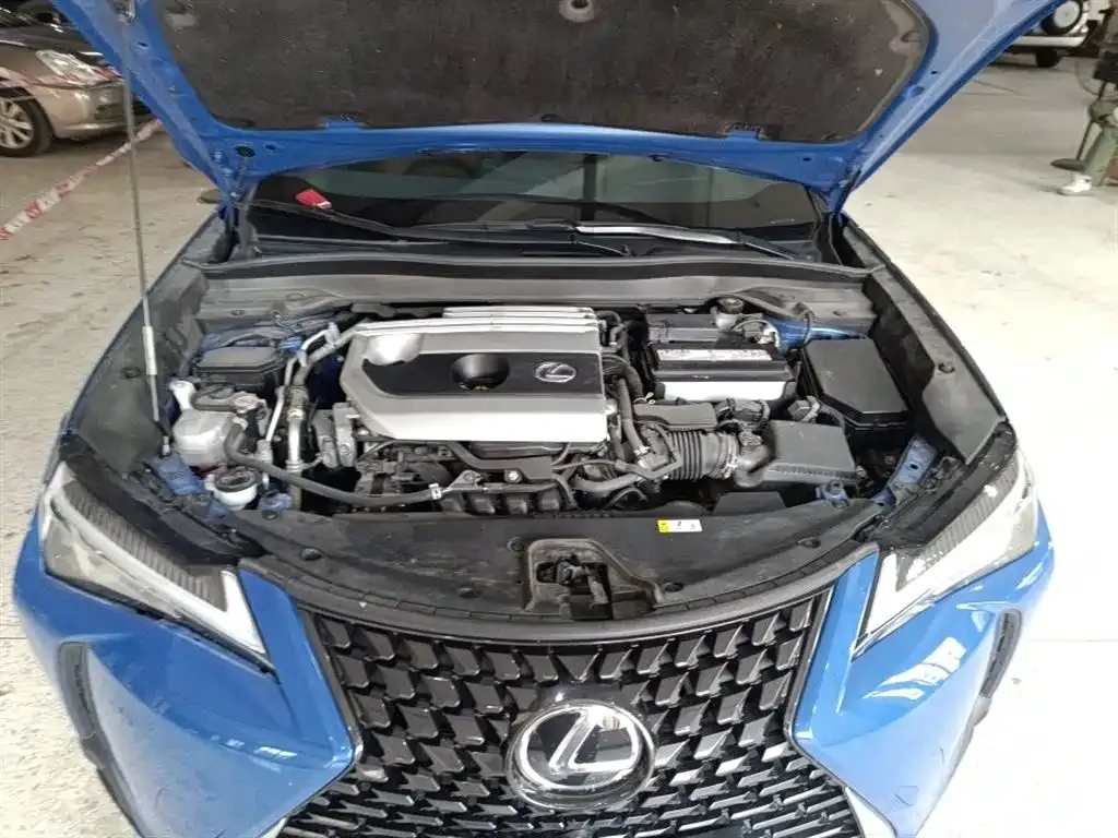 Lexus UX 2022 из CN, фото 5