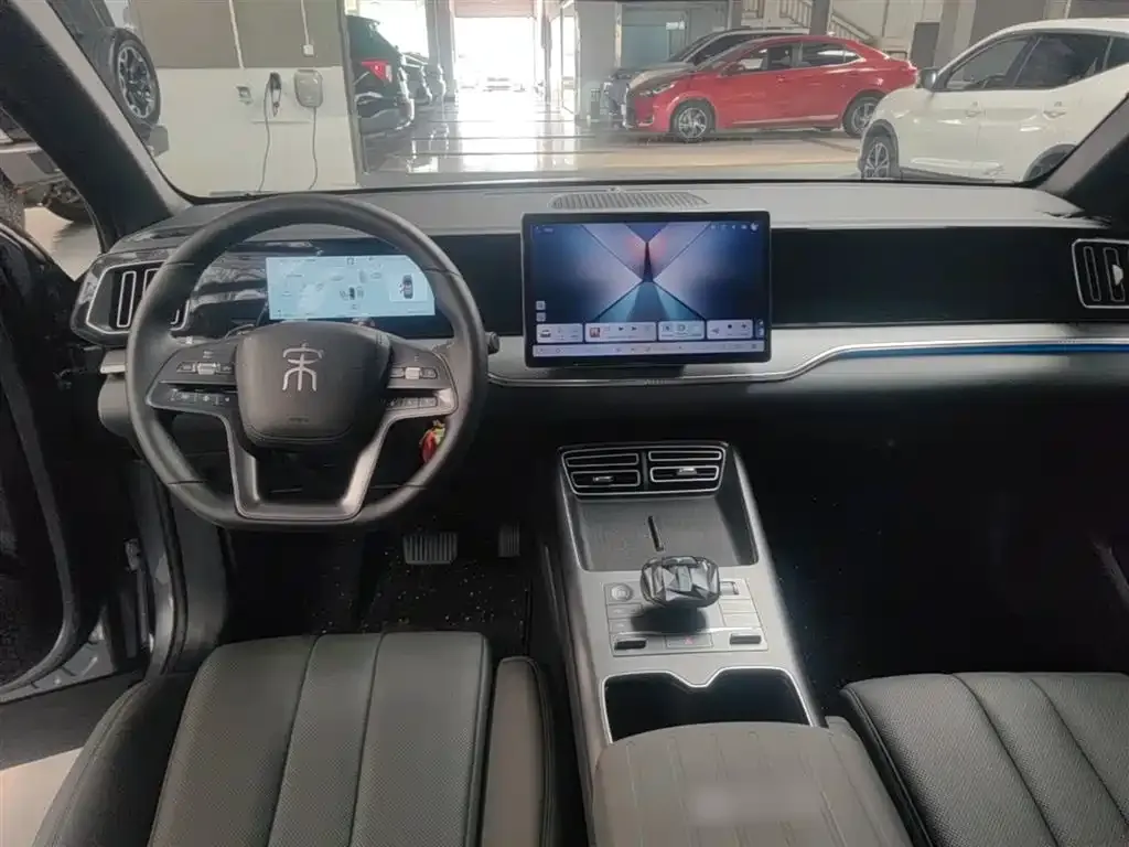 BYD Pro New Energy — фото 5