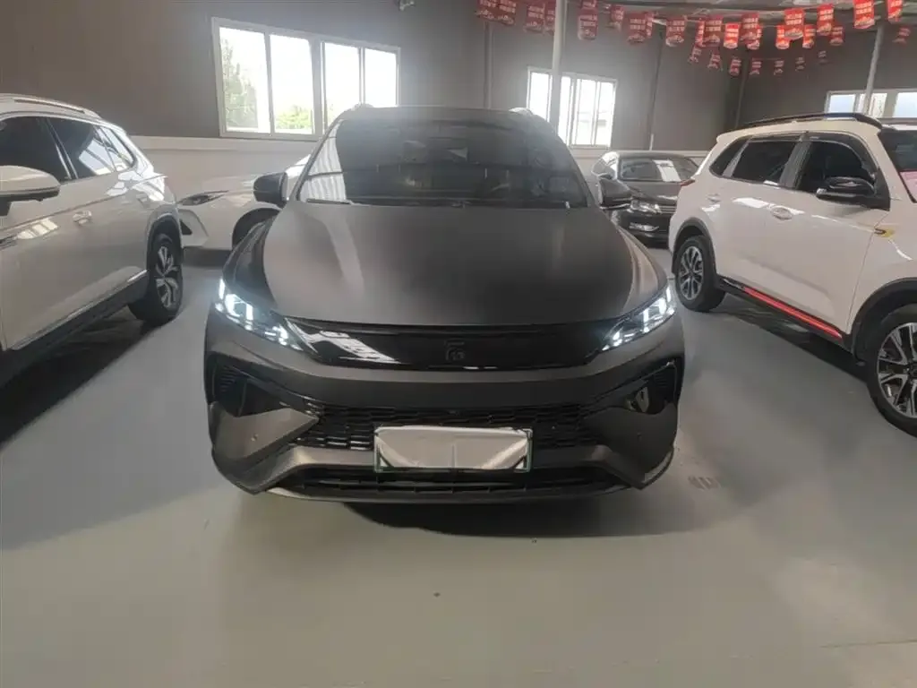 BYD Pro New Energy — фото 10