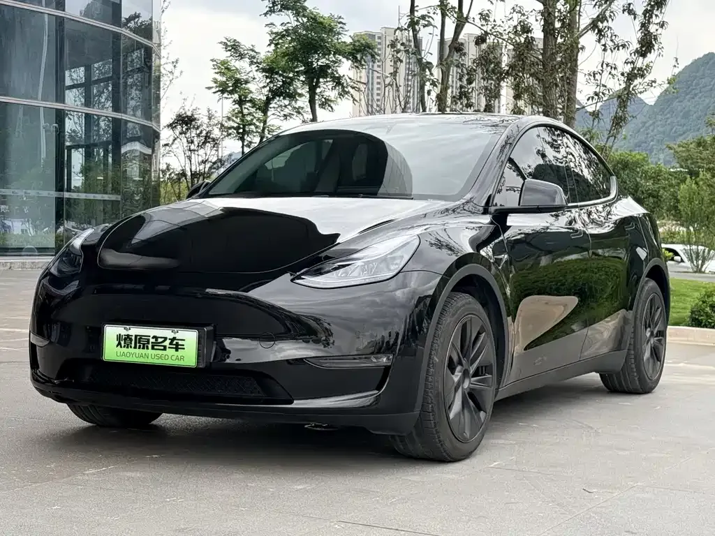 Tesla Model Y — фото 1