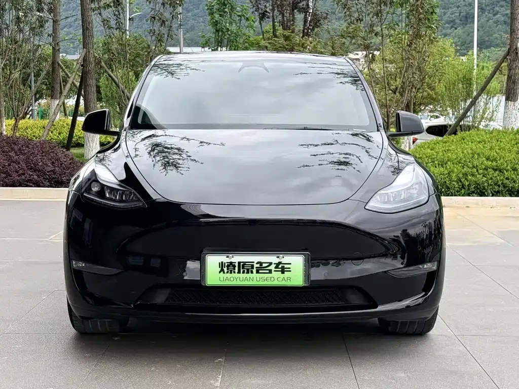 Tesla Model Y — фото 7