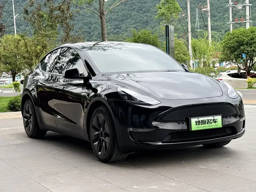 Tesla Model Y — фото 3