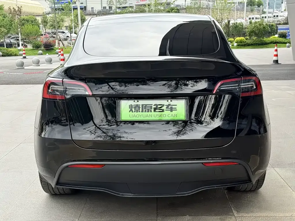 Tesla Model Y — фото 8