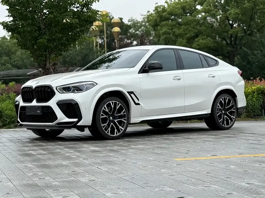 BMW X6 M