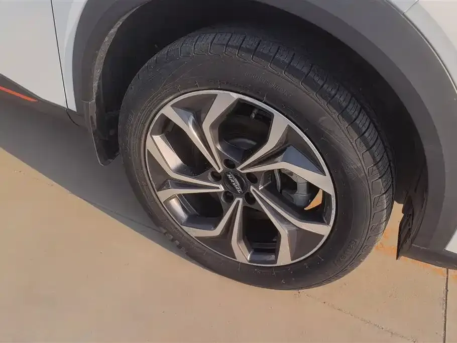 Haval Shenshou 2022 из CN, фото 2