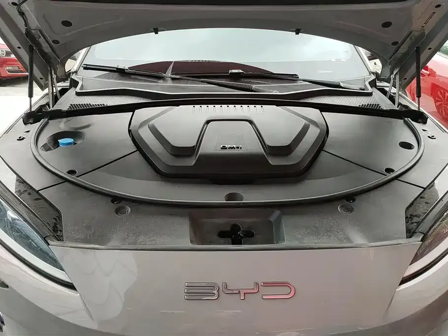 BYD PLUS New Energy — фото 9