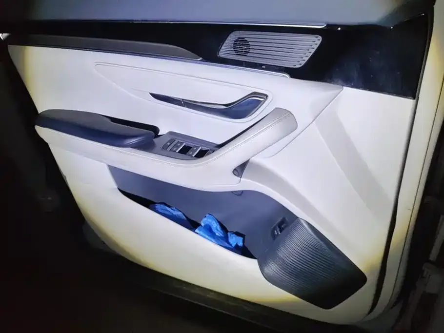 BYD PLUS New Energy — фото 10
