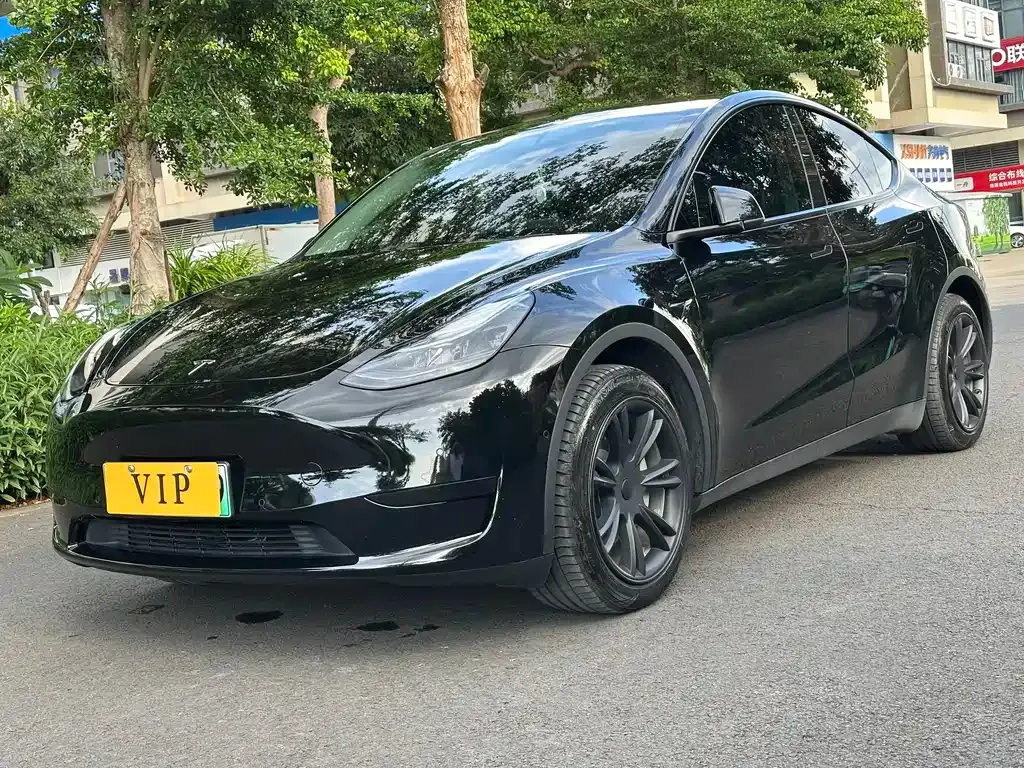 Tesla Model Y — фото 1