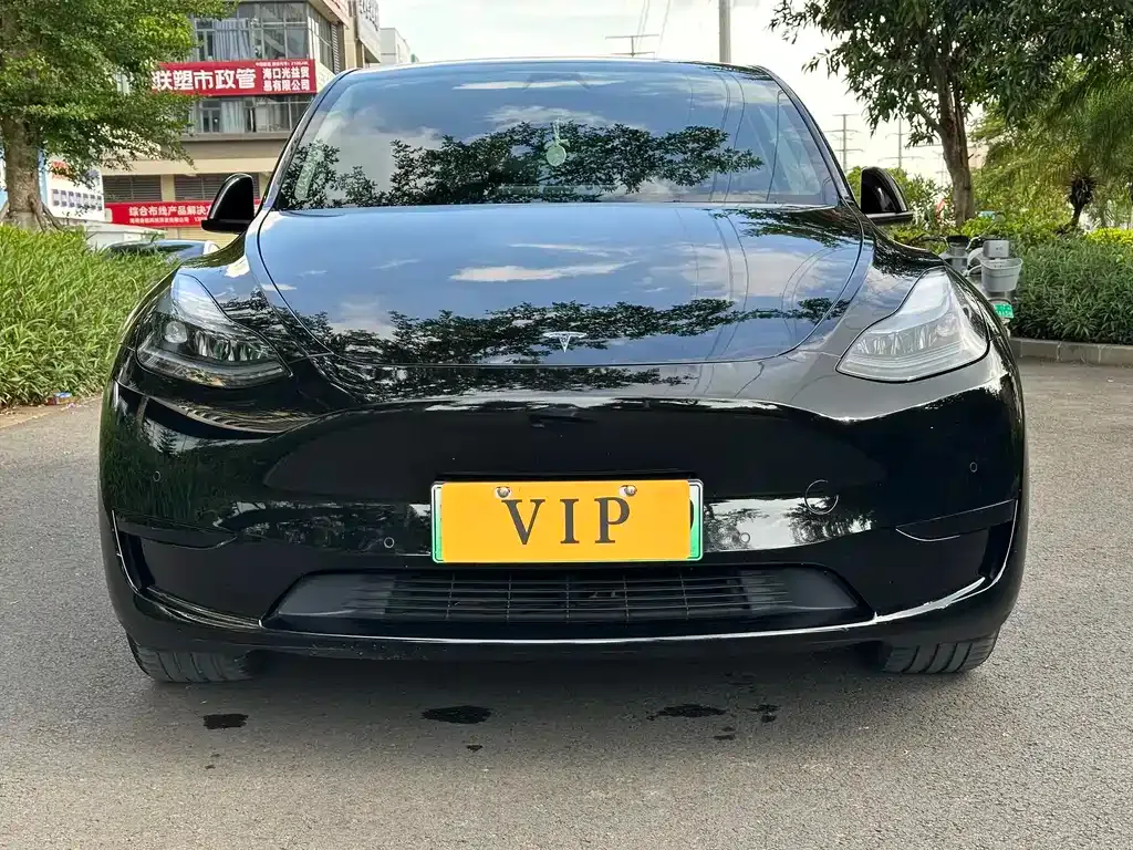 Tesla Model Y — фото 5