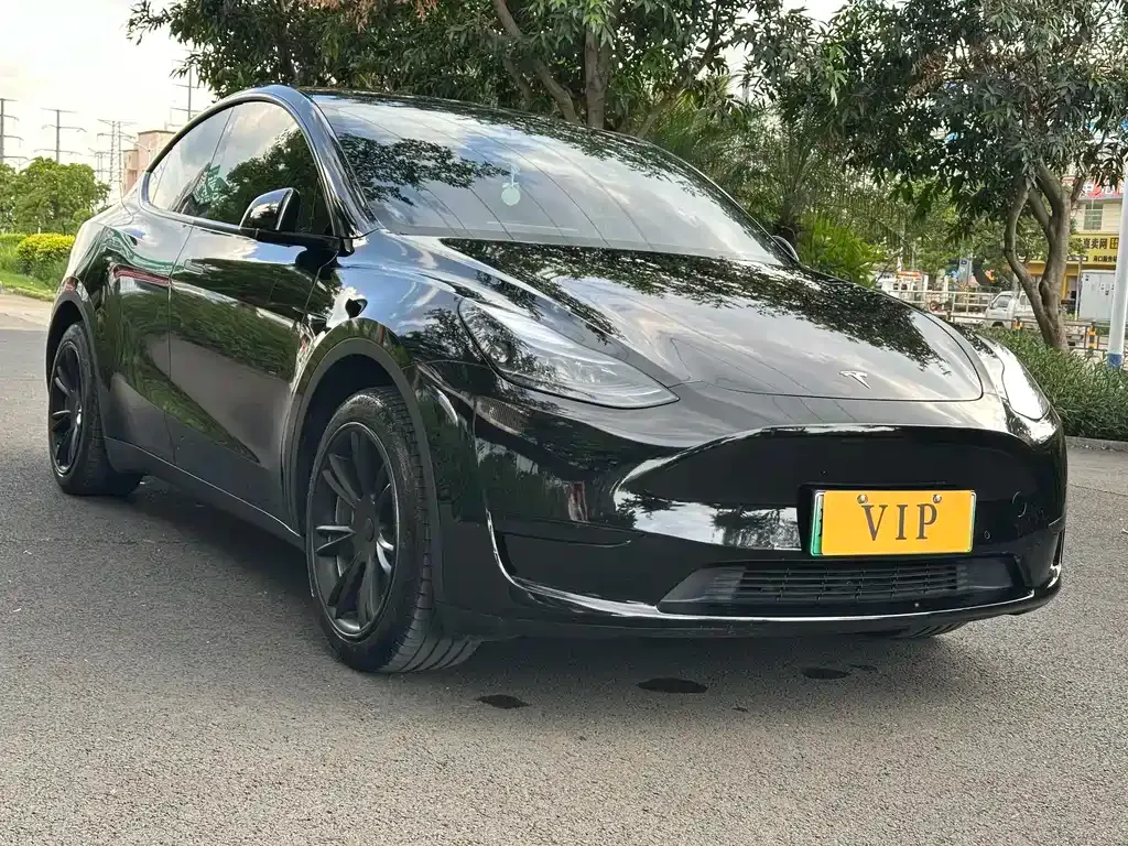 Tesla Model Y — фото 6