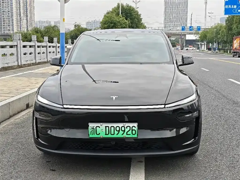 Tesla Model Y — фото 9