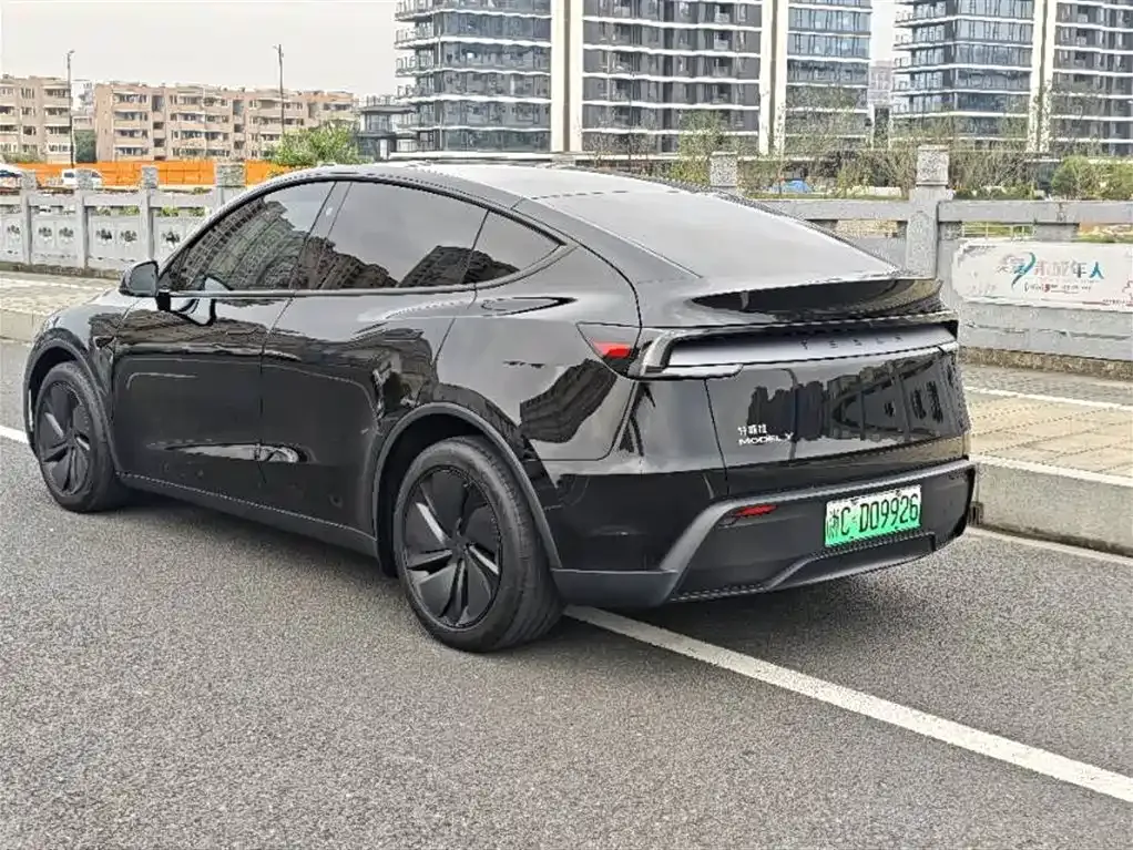 Tesla Model Y — фото 8