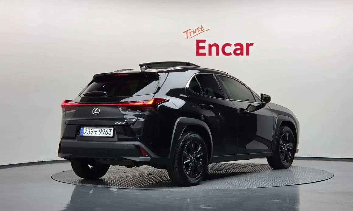 Lexus UX 2024 из KR, фото 3