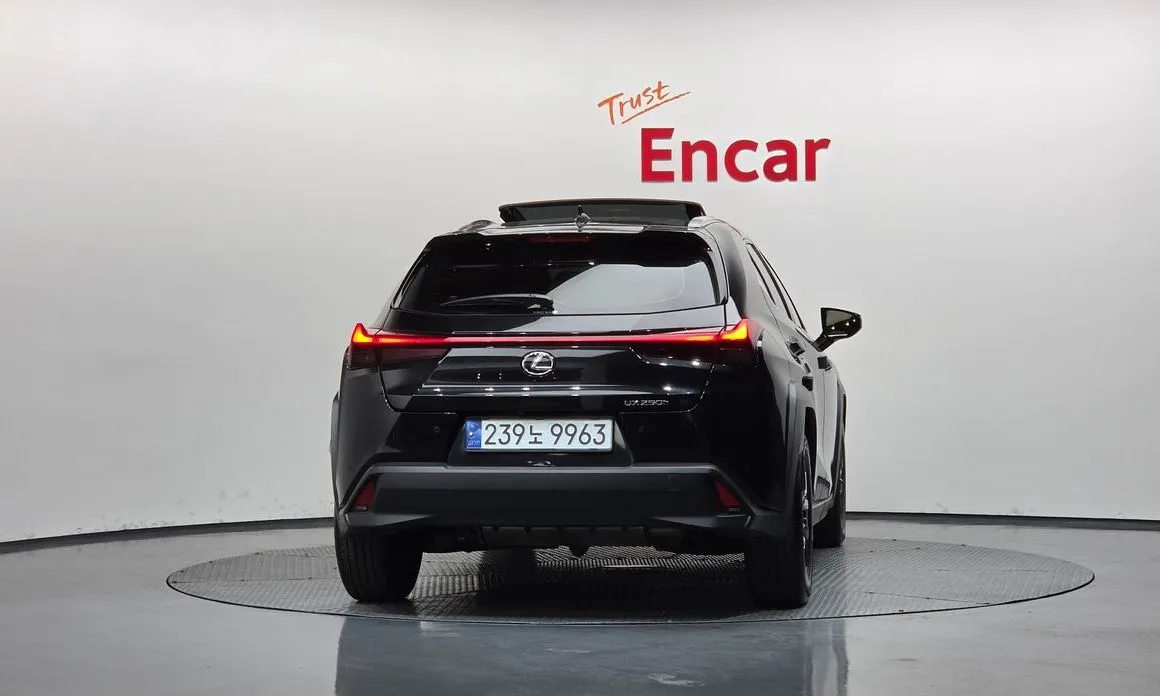 Lexus UX 2024 из KR, фото 4