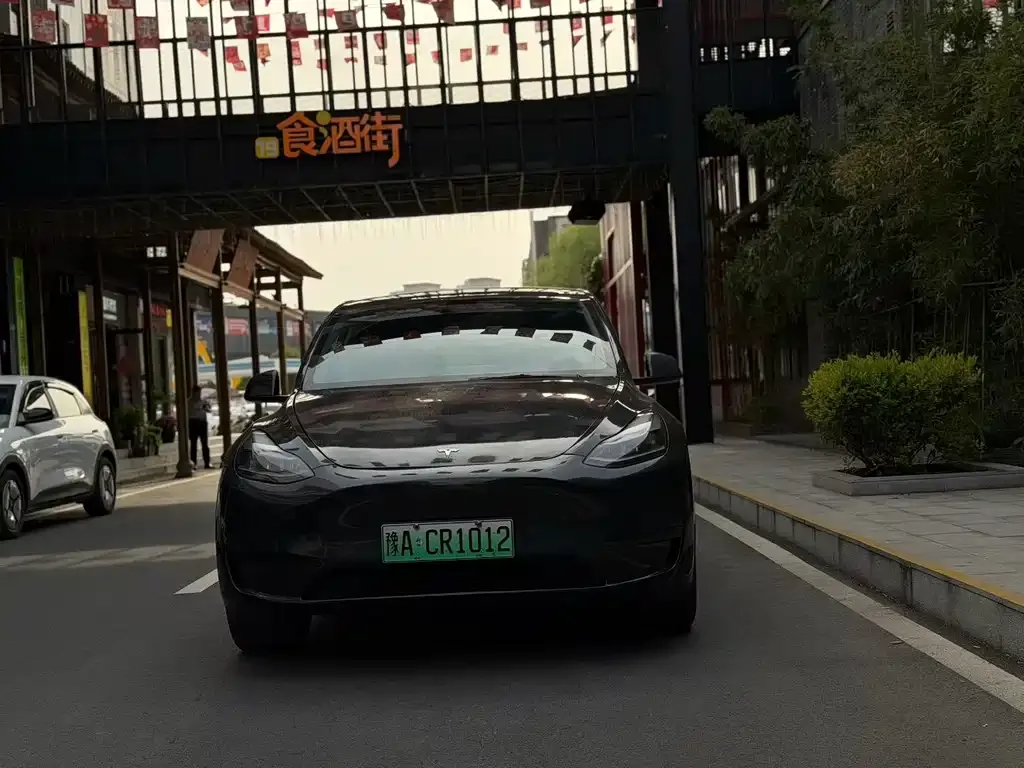 Tesla Model Y — фото 6