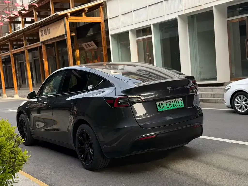 Tesla Model Y — фото 8