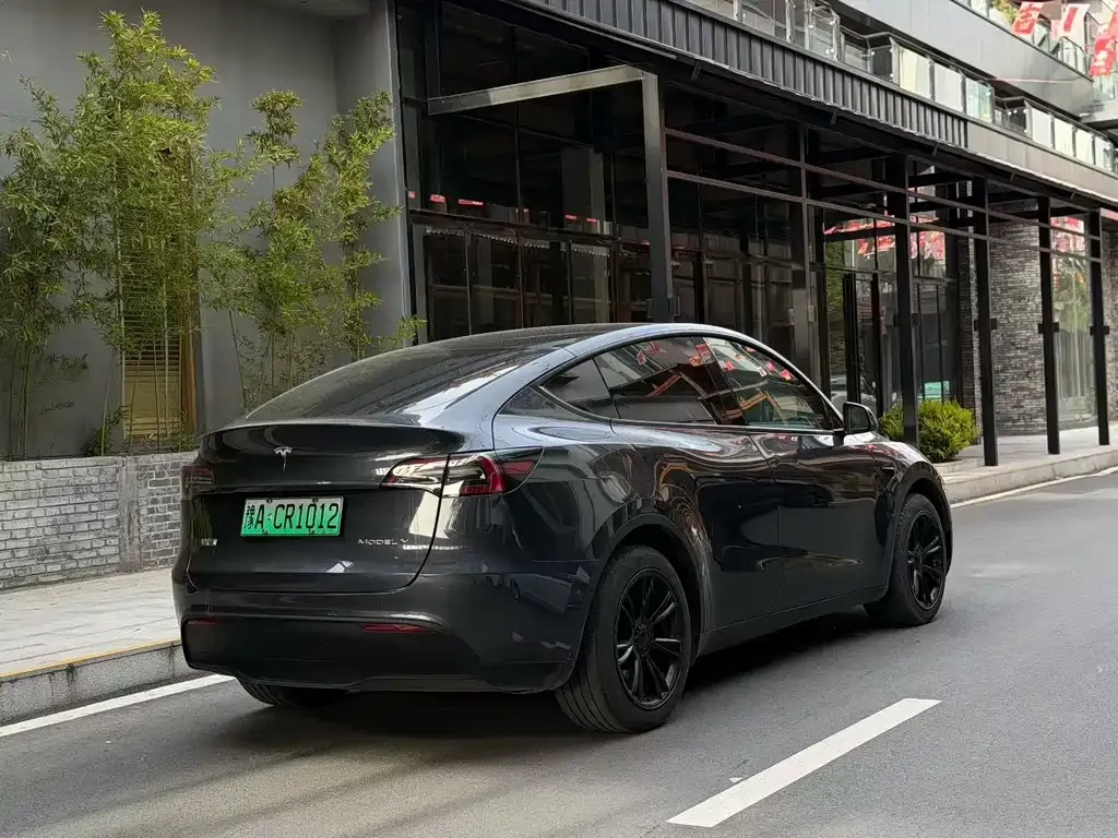 Tesla Model Y — фото 9