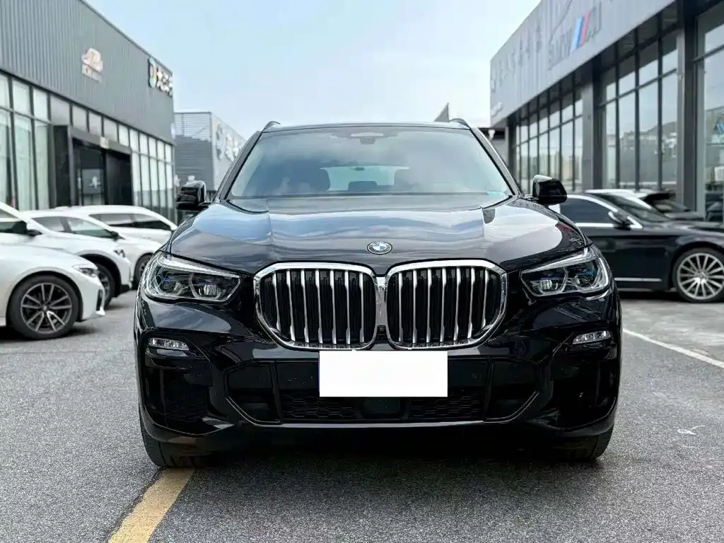 BMW X5 (Import) 2021 из CN, фото 4