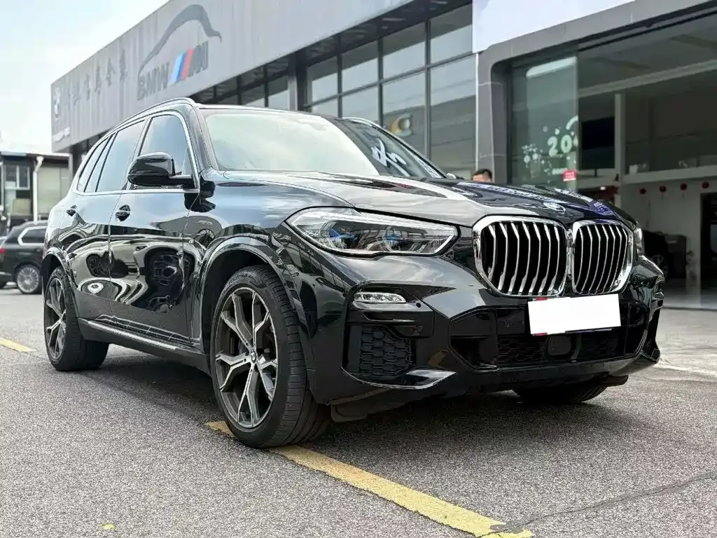 BMW X5 (Import) 2021 из CN, фото 5