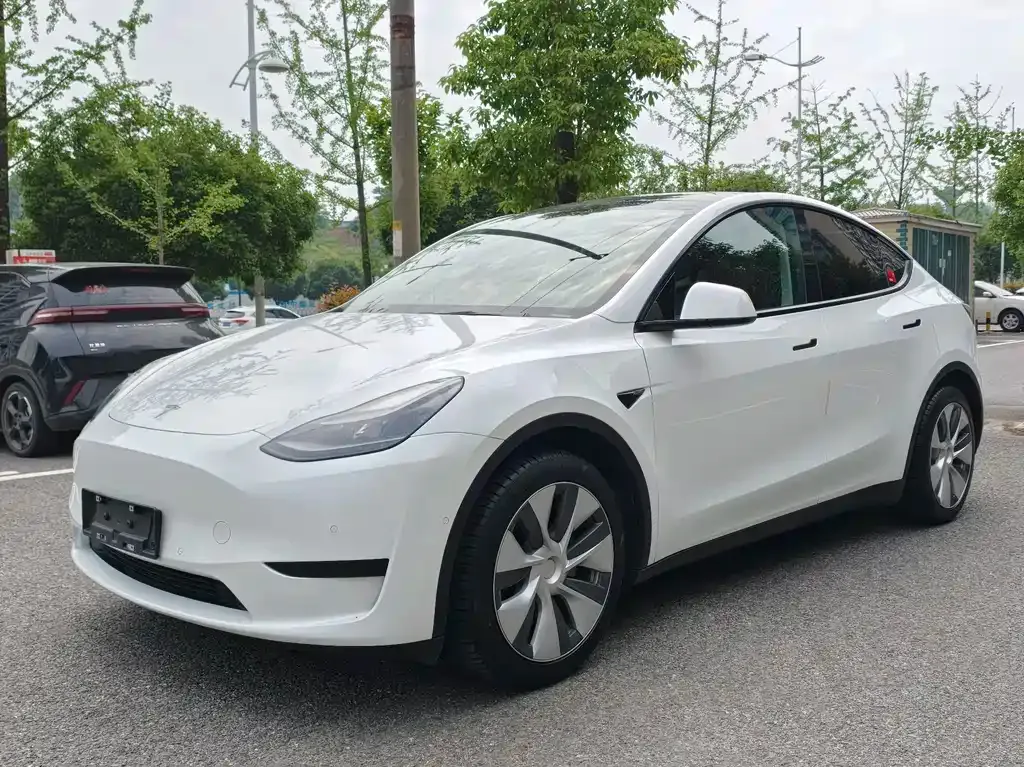 Tesla Model Y — фото 1