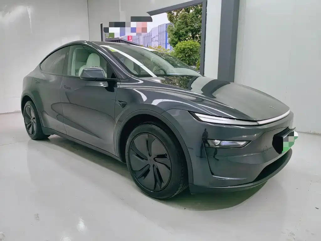 Tesla Model Y — фото 9