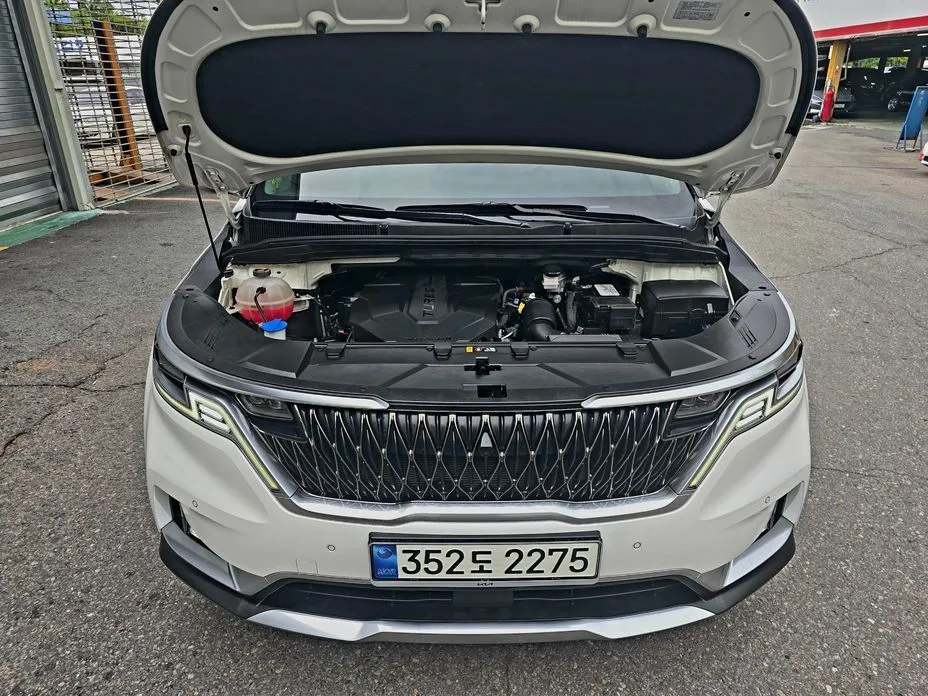 Kia Carnival — фото 10