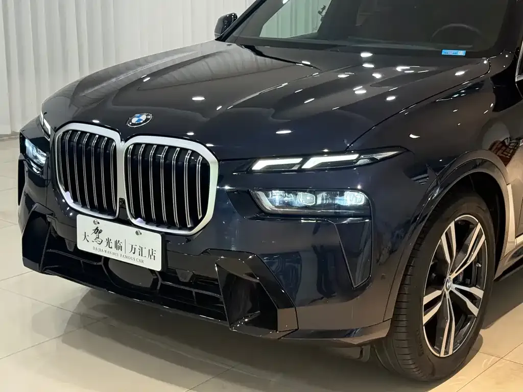 BMW X7 — фото 4