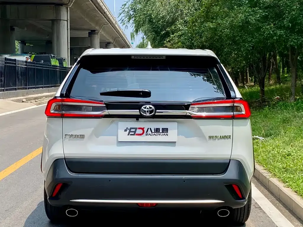 Toyota Wildlander 2023 из CN, фото 5