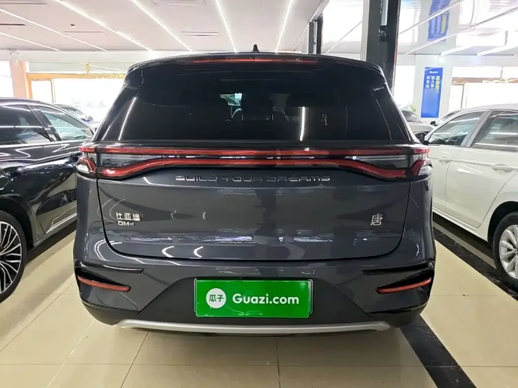BYD Tang New Energy 2024 из CN, фото 4