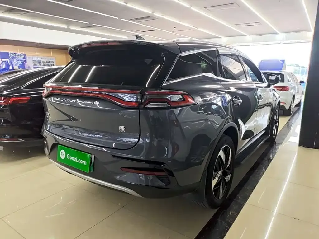 BYD Tang New Energy 2024 из CN, фото 9