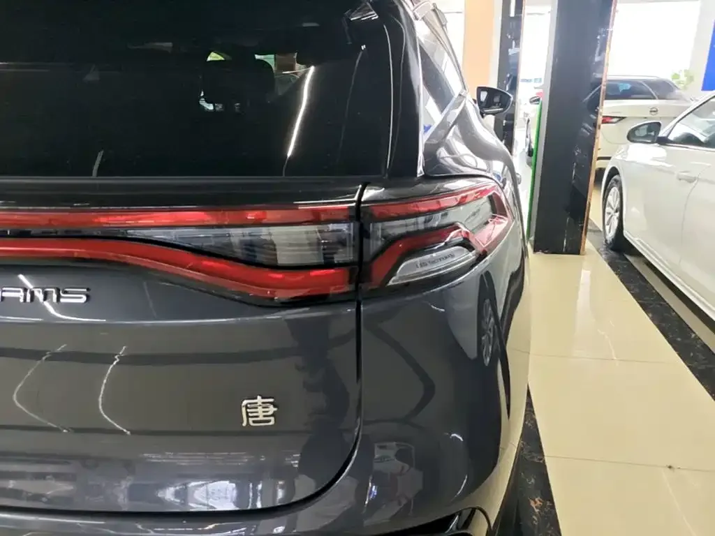 BYD Tang New Energy 2024 из CN, фото 6