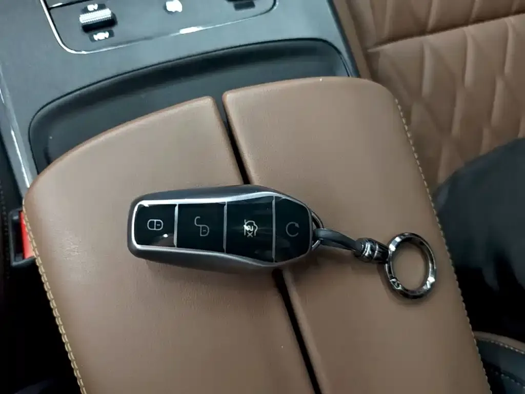 BYD Tang New Energy 2024 из CN, фото 2