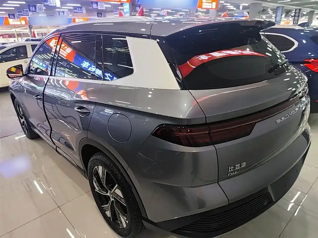 BYD Pro New Energy — фото 8