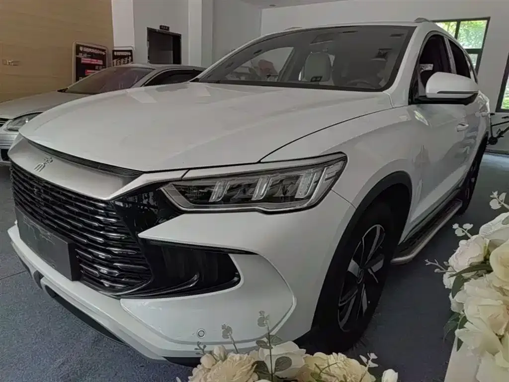 BYD Pro New Energy — фото 10