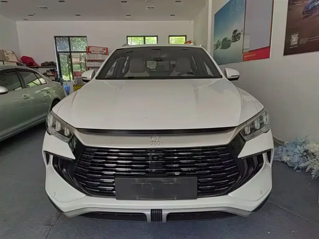 BYD Pro New Energy — фото 8