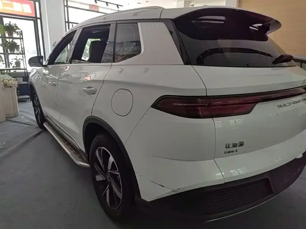 BYD Pro New Energy — фото 6