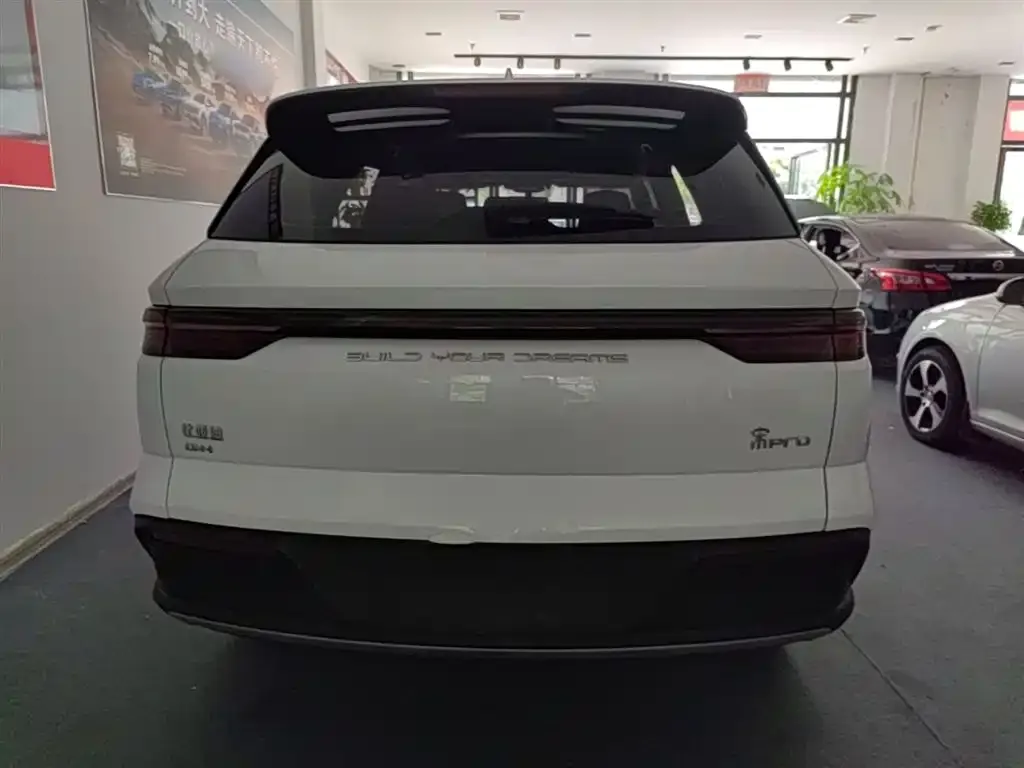 BYD Pro New Energy — фото 3