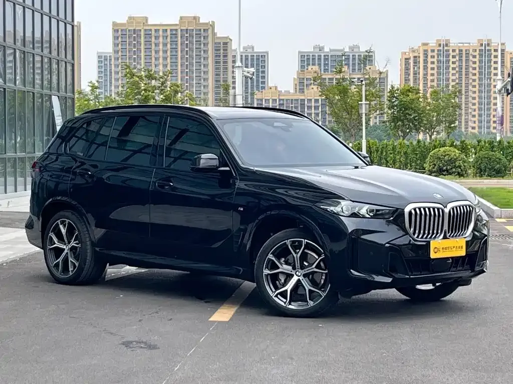 BMW X5 — фото 8