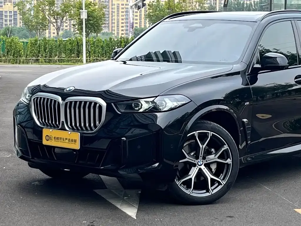 BMW X5 — фото 4