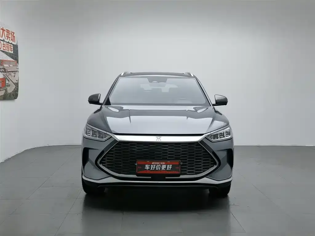 BYD PLUS New Energy 2023 из CN, фото 3