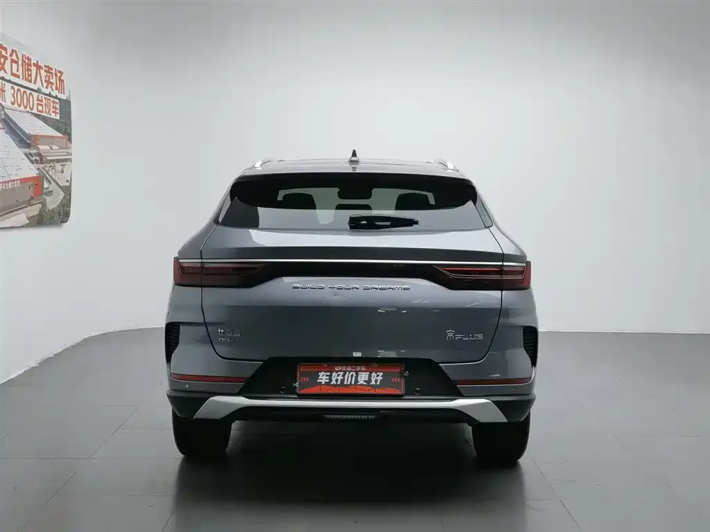 BYD PLUS New Energy 2023 из CN, фото 4