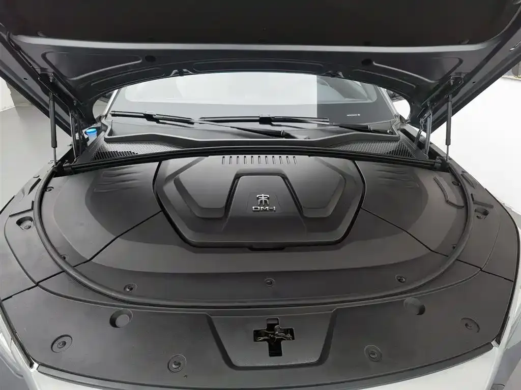 BYD PLUS New Energy 2023 из CN, фото 2