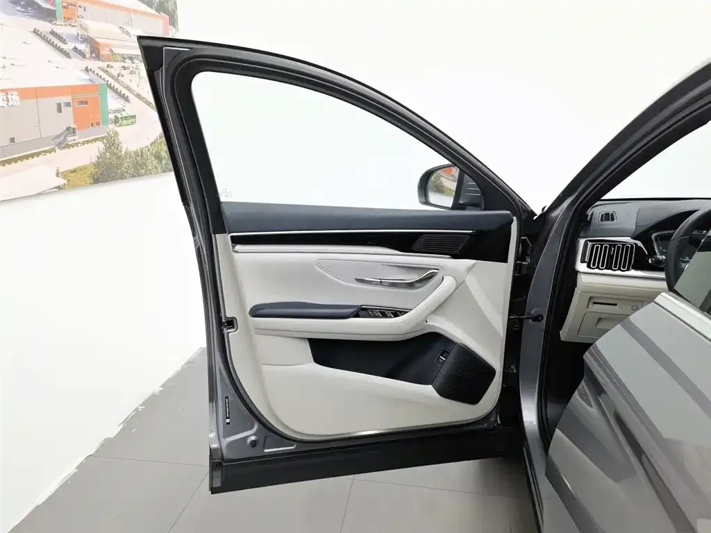 BYD PLUS New Energy 2023 из CN, фото 7