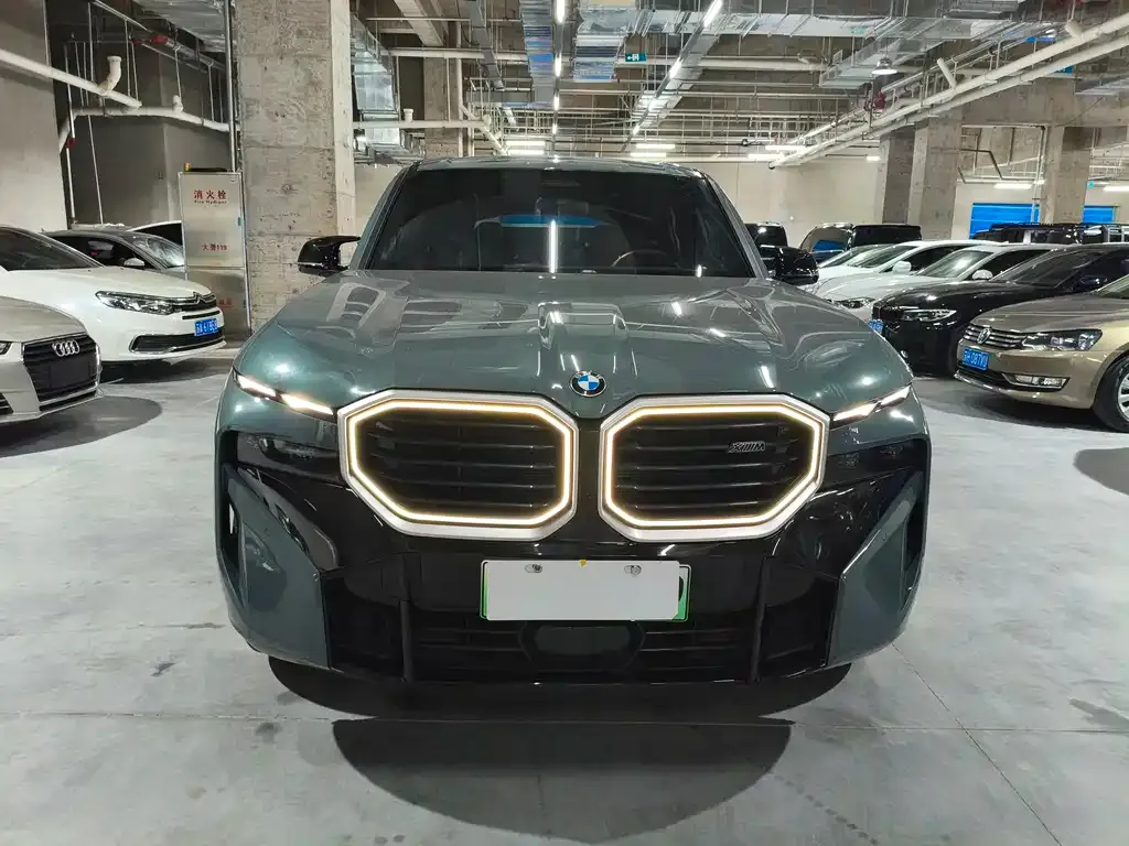 BMW XM 2025 из CN, фото 2