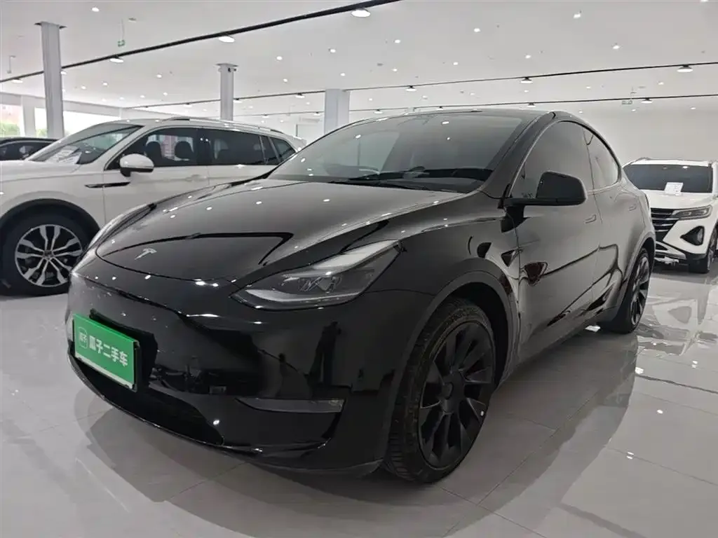 Tesla Model Y — фото 10