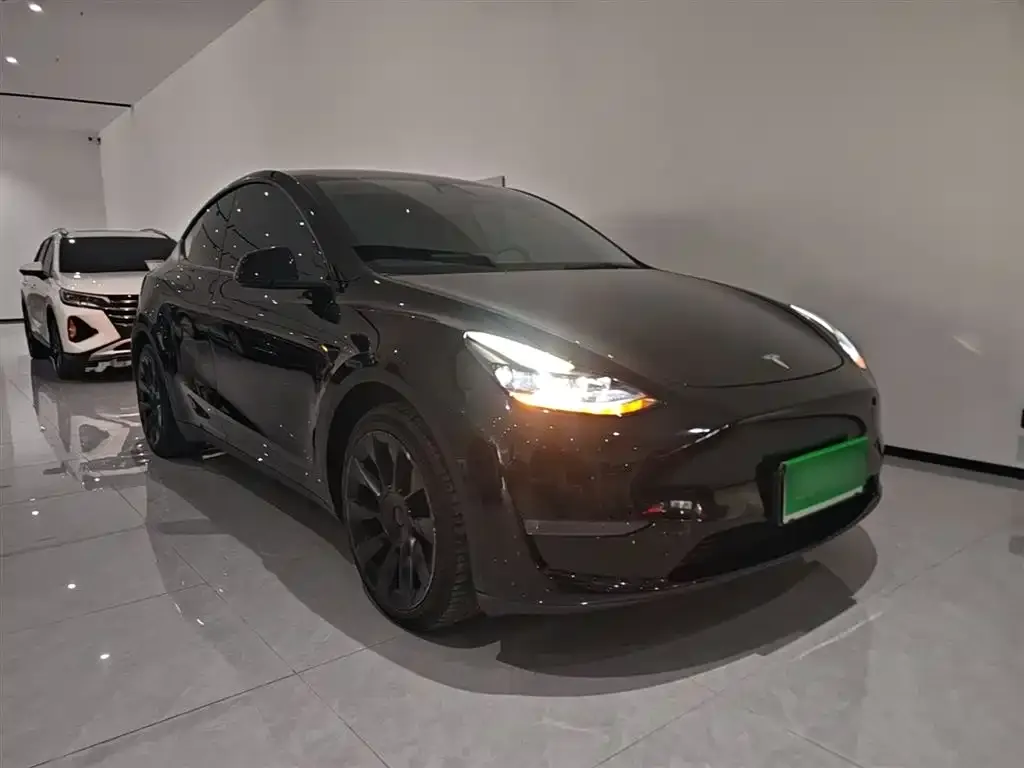 Tesla Model Y — фото 9