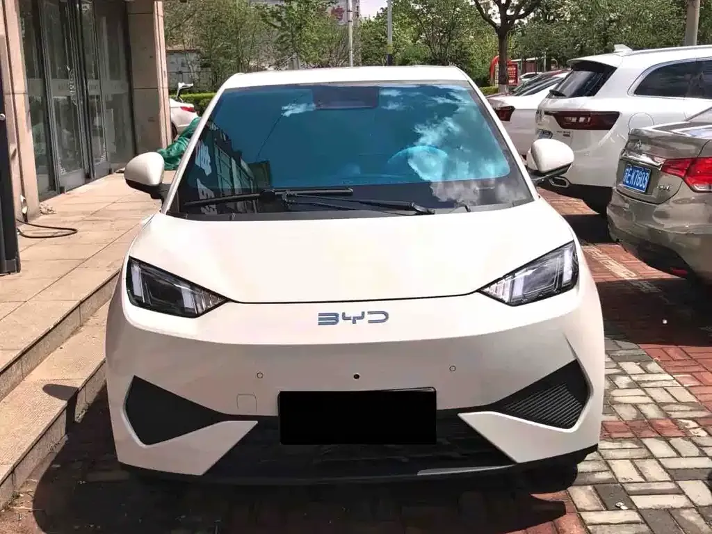 BYD Seagull