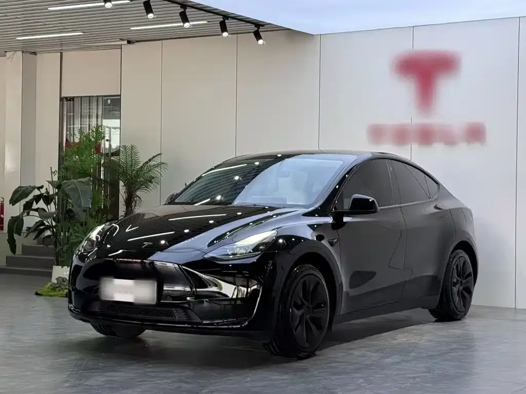 Tesla Model Y — фото 10