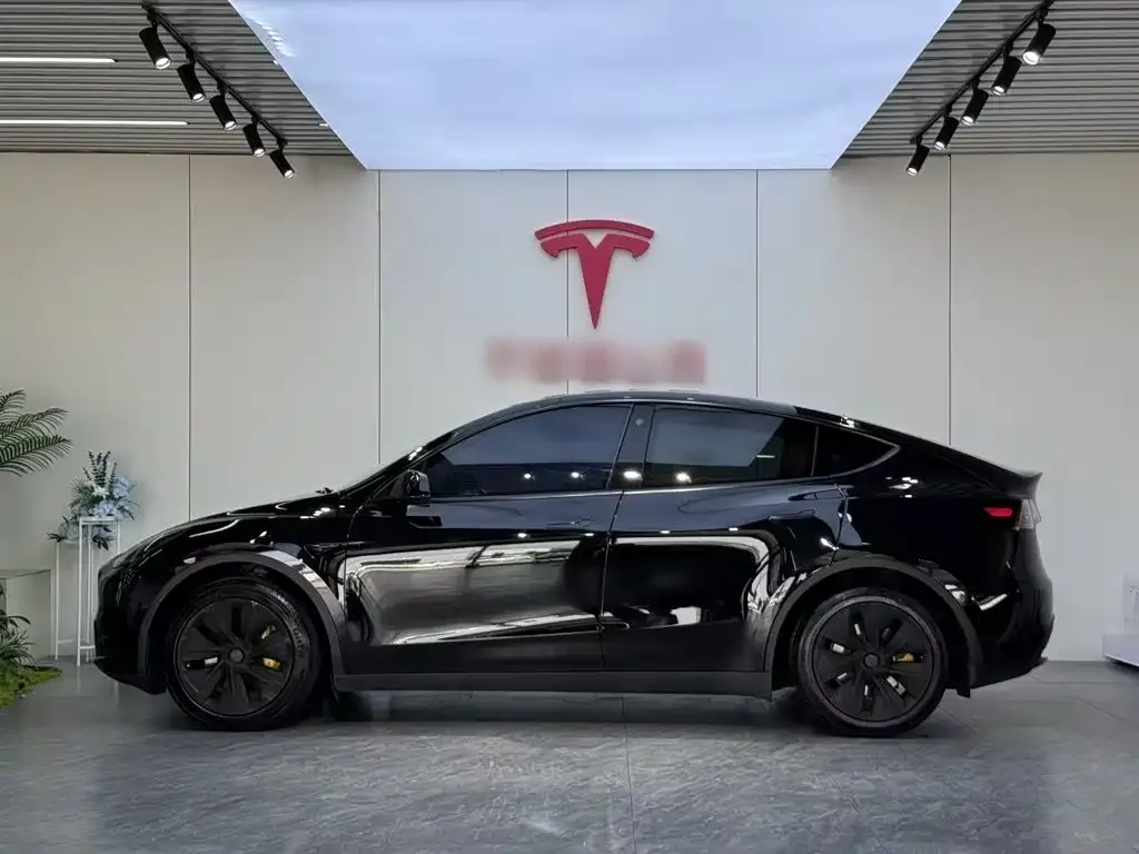 Tesla Model Y — фото 6